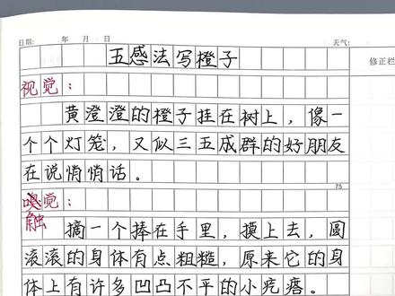 五感法写橙子,你学会了吗?#优秀范文 #小学作文 #写作文不用凑字数 #作文素材 #小学语文