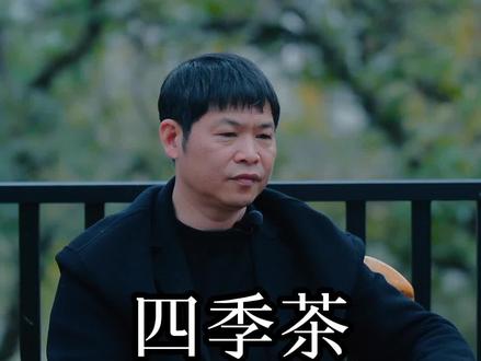 走过一年四季的轮回,武夷岩茶之头“秋茶”。有态度的做茶,有温度的表达!#岩茶密码 #茶知识 #武夷岩茶 #茶文化 #知茶懂茶 #茶生活