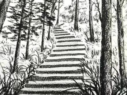 树林里的台阶,你学会了吗?