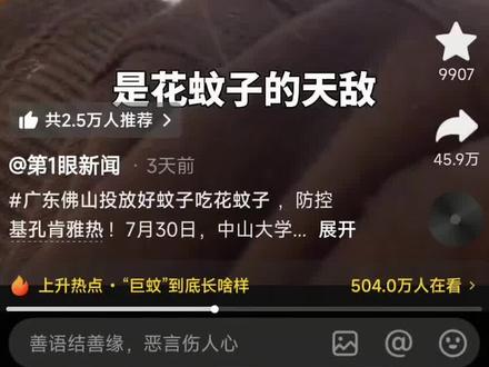 华丽巨蚊配图错误 #科普#昆虫#蚊子#基孔肯雅热#知识科普