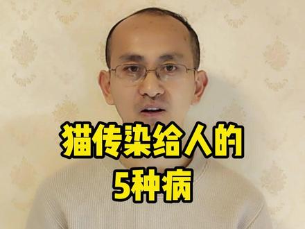 猫可能传染给人的5种病! #人畜共患病 #猫传染给人的病 #热点