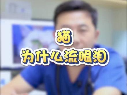 猫咪经常流眼泪是悲伤还是猫咪生病了?#萌宠出道计划 #养宠进阶指南 #爱宠来狂欢