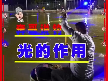 灯光钓鱼的作用有多大?#原来钓鱼才是抖音运动顶流 #钓鱼的乐趣只有钓鱼人懂 #钓鱼人就是这么疯狂 #黑坑盘老板 #2023dou来钓鱼