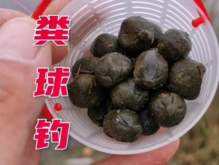 羊粪打窝,意想不到!#钓鱼人 #野钓 #钓鱼