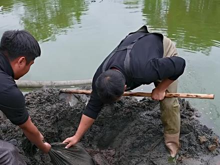 花2800包下一个深山石头塘,抽干水看下到底值不值#我要上热门 #新农人计划2022 #抖音乡村生活家