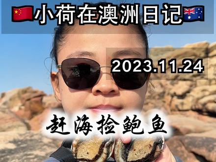 千万别在澳洲赶海捡鲍鱼!不然你会。。。 罗氏鲍,珀斯市区一年只开放四天,而且这四天是早上7点到8点,限额15只。busselton以南是限额20只,可以在每年的10月份到5月份之间,天天去捡#澳洲生活 #海外生活 #珀斯 #鲍鱼 #赶海 @DOU+小助手
