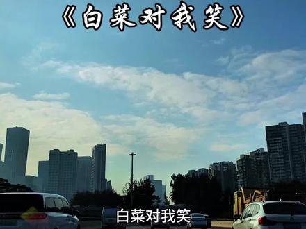 白菜对我笑.#白菜对我笑 #音乐推荐 #音乐分享