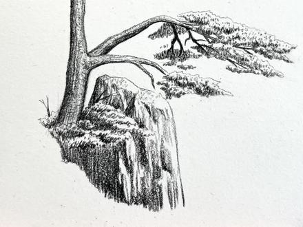 一分钟学会!超简单的画黄山迎客松方法✿ ◡‿◡✿ #绘画教程 #画黄山 #劳动节主题画 #劳动节手抄报 #五一手抄报