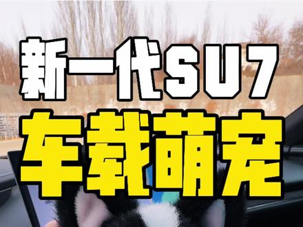 新一代su7萌宠模式 小猫咪和小水獭有点好玩呀!不仅可以当磁吸挂件,还能改变车辆主题#小米汽车 #小米su7 #新一代su7 #新一代su7发布会 #我和我的小米汽车