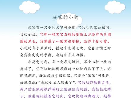 观察篇《我家的小狗》#三年级 #优美句子 #作文素材