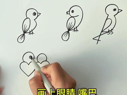 小鸟画法大全,一个视频教会你#一学就会系列#儿童简笔画 #教程#简笔画#画画