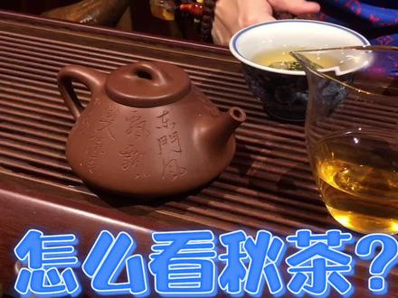 对于秋茶,虽然我们不做,也谈谈自己的理解和看法。#玩啥我们都认真 #无极轩