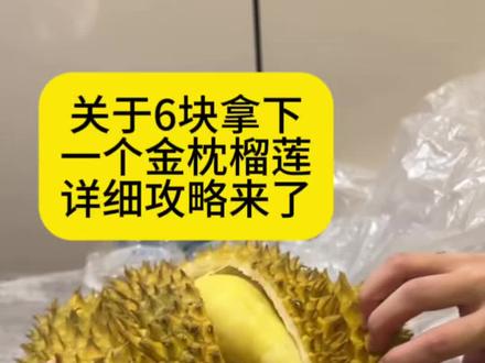 全网都在找的6块拿下一整箱金枕榴莲攻略来了#爱吃榴莲的朋友注意了 #金枕榴莲 #薅羊毛 #攻略教程 #网购榴莲攻略