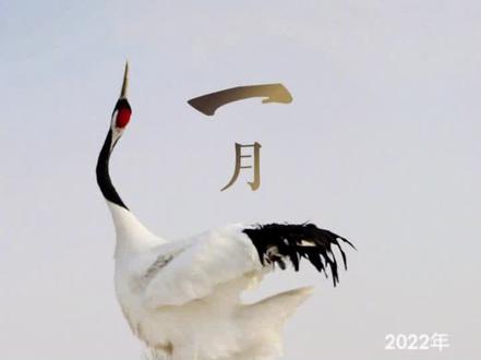 #2022年#放假安排来了 #春节#国庆放假7天