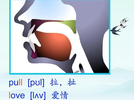 48个音标【l】的发音。#英语 #抖音小助手 #48个国际音标 #音标 #每天学习一点点 #学英语 #音标