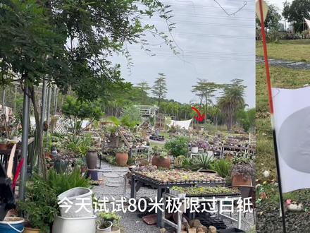 80米外的箭,你躲得了吗?#合法场地拍摄 #射箭#合法体育器材封闭场所演练 #弓箭 #请勿模仿非专业人员