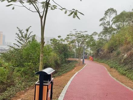 自驾到广西崇左,打卡本地人推荐的石景林景区,跟想象中的不一样 #旅行vlog #小众景点 #vlog旅行记