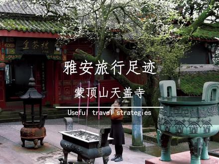 来了雅安,你可千万别错过蒙顶山,天盖寺这次真的把我美到了!#放松解压好去处 #茶是春天的仪式感 #春日游玩攻略 去风景里探个春