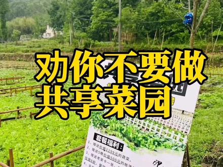 真的劝你不要做共享菜园了#农场 #田园生活 #共享菜园