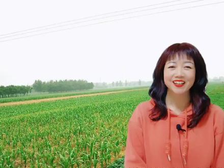 成人毕业证能报考药师、康复治疗师资格证吗?谢谢粉丝纠正错误。 #成人教育 #学历 #本科