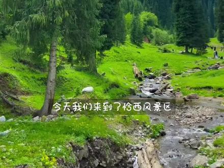 刚从恰西回来,总算把这7⃣️个机位搞明白了
🌲恰西,一幅属于新疆的大美画卷,有人打开是绿野仙踪,有人打开是暮光之城。
这个夏天,来恰西做一回画中人吧——
-
📍:新疆伊犁巩留县恰西森林公园
-
🎫:30r
-
🗺️:
1⃣️暮光之城 P1.2.3
距“恰西画卷”观景台3.7km,标志物为黄色指示牌+绿色垃圾桶,见P10
📱手机x3镜头,18点~21点光线合适
2⃣️云杉之门 P4
距“恰西画卷”观景台5.8km,标志物为路左右两侧各一根枯木,见P11
📱手机x3镜头,18点~20点光线合适
3⃣️坡顶枯木+雪山P5
拍完云杉之门继续往前200m,标志物为黄色指示牌+山坡小路,见P12
📱手机x5镜头,全天光线均可#旅途中的美景 #名为夏天的绿色 #恰西 #恰西森林公园 #伊犁旅游攻略