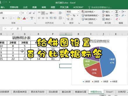 给饼图设置百分比数据标签 excel图表 #excel技巧 #office办公技巧 #excel #职场