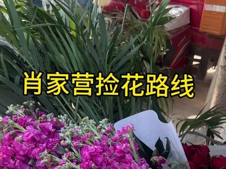 上一期出了一个捡花的视频,很多宝子们都想亲自来体验一下捡花的乐趣,我今天给大家分享一下肖家营完整的捡花路线 ,如果有外地的朋友来了不方便可以联系我,我有空的话带你们去