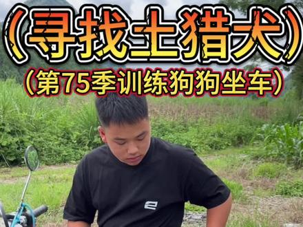 用几分钟简单而又详细的教大家教土猎犬上车坐车,如有不足的地方大家评论区讨论!#广西土猎犬 #猎狗 #土猎