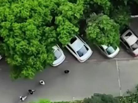 中国人有多爱看热闹?可以不吃不睡,但有热闹绝不能不看 #热闹 #看热闹 #科普 #涨知识