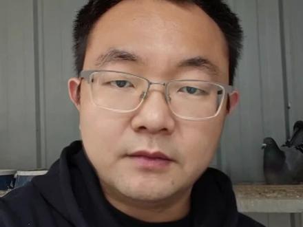 种鸽孵鸽蛋多少天出壳是正常的?#赛鸽信鸽 #种鸽