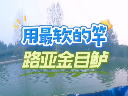 用最软的竿钓金目鲈盲曹
1.5克铅头钩配浮水针尾
超软xul五节旅行竿
路亚金目鲈盲曹
鳟鱼可以用它磨鱼了
爆米花路亚俱乐部
更多钓场信息请关注趣路亚
2023探钓北京路亚钓场继续开启欢迎关注我
#原来钓鱼才是抖音运动顶流 #钓鱼的乐趣只有钓鱼人懂 #2023dou来钓鱼 #路亚金目鲈#趣路亚