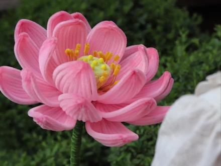 【扭扭棒巨型国风荷花完整版教程】来啦,这个夏天总要拥有一朵荷花吧,赶快收藏起来一起制作吧#荷花 #国风 #扭扭棒教程 #手工diy#扭扭棒