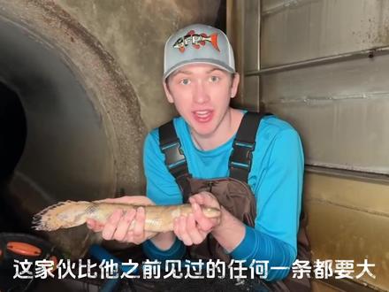 隧道捕捉到不知名生物???? #生猛的鱼 #鲍比捕鱼 #捕鱼 #野生动物 #户外探险 @抖音小助手 @抖音 @抖音作者助手
