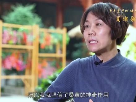 德百集团的夏津桑黄的神奇功效