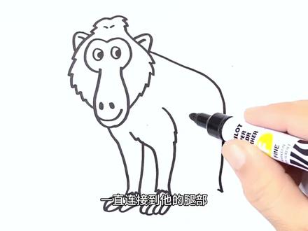 今天我们来画一只狒狒! #简笔画 #儿童简笔画 #简笔画教程 #创意简笔画 #儿童绘画 #绘画过程