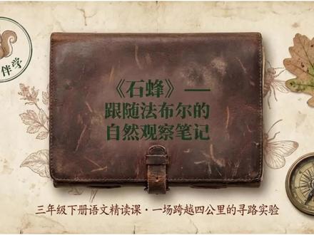三年级语文下册第10课《石蜂》 #小学语文#课件#三年级语文#抖音创作者激励计划#抖音万人粉丝扶持计划
