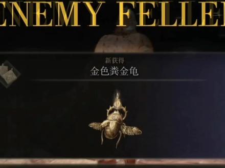 艾尔登法环刷卢恩必备饰品神器,金色粪金龟保姆级收集攻略 #艾尔登法环 #艾尔登法环刷魂 #艾尔登法环攻略