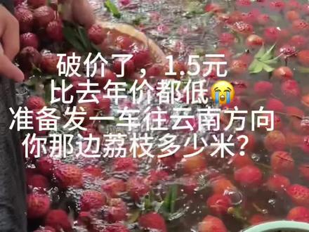 就算我家荔枝卖1.5,我也不能因为他只值1.5嫌弃不卖吧😭