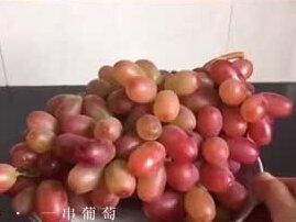 【生活小妙招】15秒教会你葡萄保鲜方法#生活小妙招 #幸福in杭州
