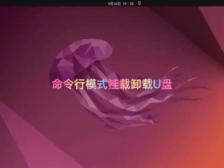 ubuntu 在命令窗口使用U盘