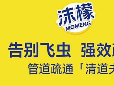 沫檬×刘涛|家清焕新季重磅启幕 这个四季,以洁净为序,守护万家与品牌代言人 @刘涛 一起,用专业清洁力,奔赴更安心、更清爽的品质生活#沫檬 #刘涛沫檬品牌代言人 #家清好物 #刘涛代言沫檬 #刘涛同款