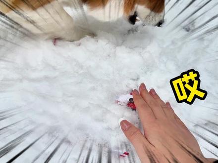 挑战“圣诞倒数”洞洞乐!收集好看的首饰,串出超美手链,太爱啦 #洞洞乐 #解压 #开箱盲盒 #给女朋友送礼物