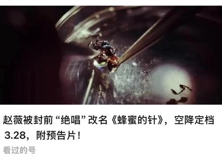 终于要上映了,朋友们准备好了吗#电影 #最新电影 #蜂蜜的针 #电影推荐 #今日分享