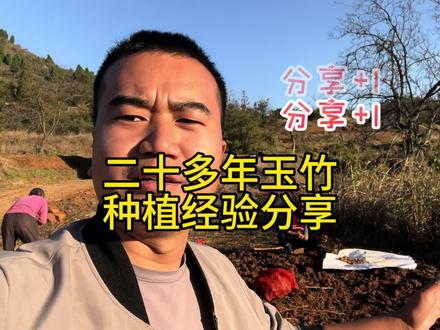 种植玉竹让七十多岁的大叔也有不错的收获,二十多年种植经验分享#农村生活 #新农人计划2023 #玉竹 #抖音助农 #一份耕耘一份收获