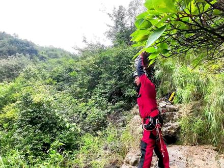 探秘云南巨猿天坑,索降200米悬崖,洞穴深处发现神秘头盖骨! #探洞 #探险 #天坑