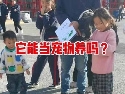 野生动物,可以当宠物养吗?