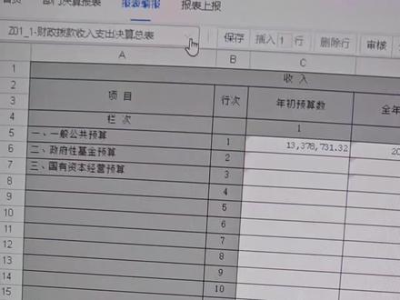 2025年决算报表填报顺序
2025年决算建议填报顺序
1、填列 CS01-1表和CS01-2 (自动提取“调整前年初结转和结余”——调整填写)
2、主表 Z08-1(填写)——Z08-2(填写)——Z08(生成)——Z07(部分生成)——Z10-1(填写)——Z10-2(填写)——Z10(生成)——Z09(部分生成)——财决Z12表(填写)——财决Z11表(部分生成)——Z06《财政拨款收入支出决算表》(自动生成)——Z14-1表《非财政拨款基本支出决算明细表》(按功能分类与经济分类科目填写3个科目,“行政支出/事业支出/其他支出”)——Z14-2表《非财政拨款项目支出决算明细表》(按功能分类、——Z14-3表《经营支出等支出决算明细表》——Z14表《非财政拨款支出决算明细表》(自动生成)——Z13表(本年支出自动生成)——Z5-1表《基本支出决算明细表》(自动生成,“行政支出/事业支出/其他支出”3个科目,)——Z05-2表《项目支出决算明细表》(自动生成,“行政支出/事业支出/其他支出/债务还本支出/投资支出”5个科目)——Z05表《支出决算明细表》——Z04《支出决算表》(基本支出、项目支出生成,上缴上级支出、经营支出和对附属单位补助支出填写)——Z03《收入决算表》(填列)——Z02-1表《基本支出分项目收入支出决算表》——Z02-2表《项目支出分项目收入支出决算表》(——Z02 表《收入支出决算表》(自动生成)———Z01-2表《非财政拨款收入支出决算总表》(先运算,再填写年初预算数、全年预算数)——Z01-1表《财政拨款收入支出决算总表》(先运算,再填写年初预算数、全年预算数)———Z01《收入支出决算总表》(自动生成)
3、附表F01——F02——F03——填表说明CS02——CS03表——LH01部门决算量化评价表(工具下的“量化评价计算”——回到“封面代码”点整套表“全审”(或点任意一张表格,点“全审”——提示“套表审核完全正确”。