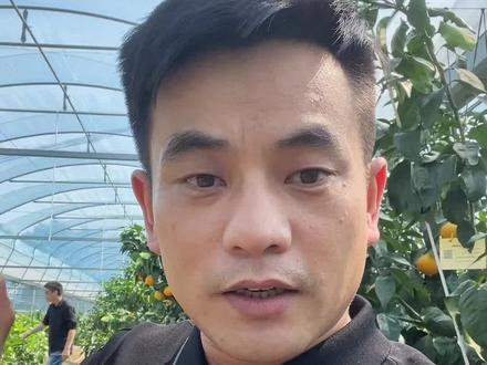 都说日本柑橘贵,那我们浙江象山的红美人,也很给力哦,你还觉得是消费者人傻钱多么?你的柑橘今年估计能卖多少呢?