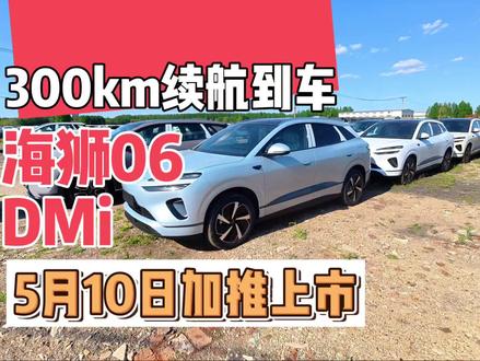 300续航海狮06dmi,10号上市 、8号就到车了
