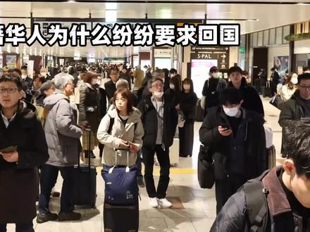 大批日籍华人为什么纷纷要求回国 #原创视频